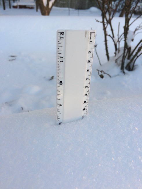 Photo of ruler stuck into snow on driveway box ledge.