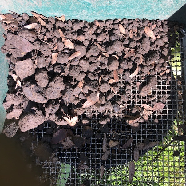 Photograph showing rocks and gravel in compost seive; the smallest gravel passed through.